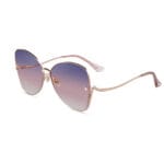 horien sunglasses H8901n12