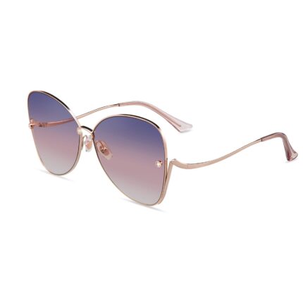 horien sunglasses H8901n12