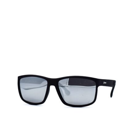 Cortina Sunglasses