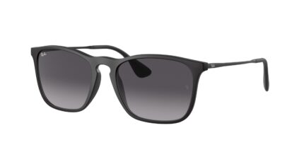 Ray-ban Sunglasses